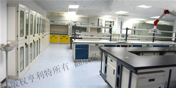 猎奇视频免费下载實驗台